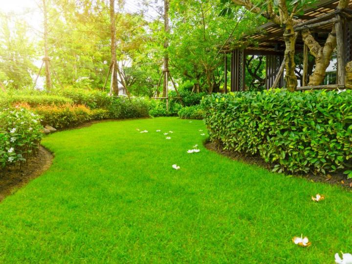 Création de jardin Saint-Lô