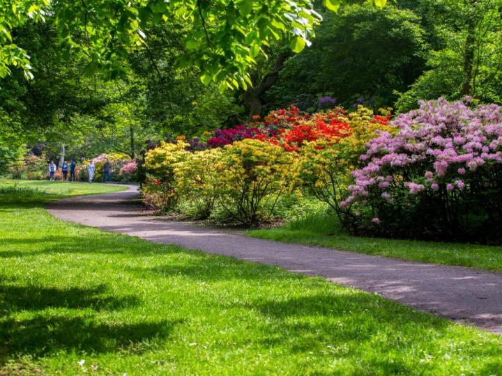Créer un jardin massif Saint-Lô