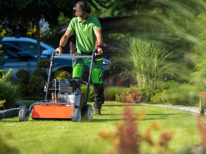 Plantation de végétaux et mise en place de gazon Saint-Lô